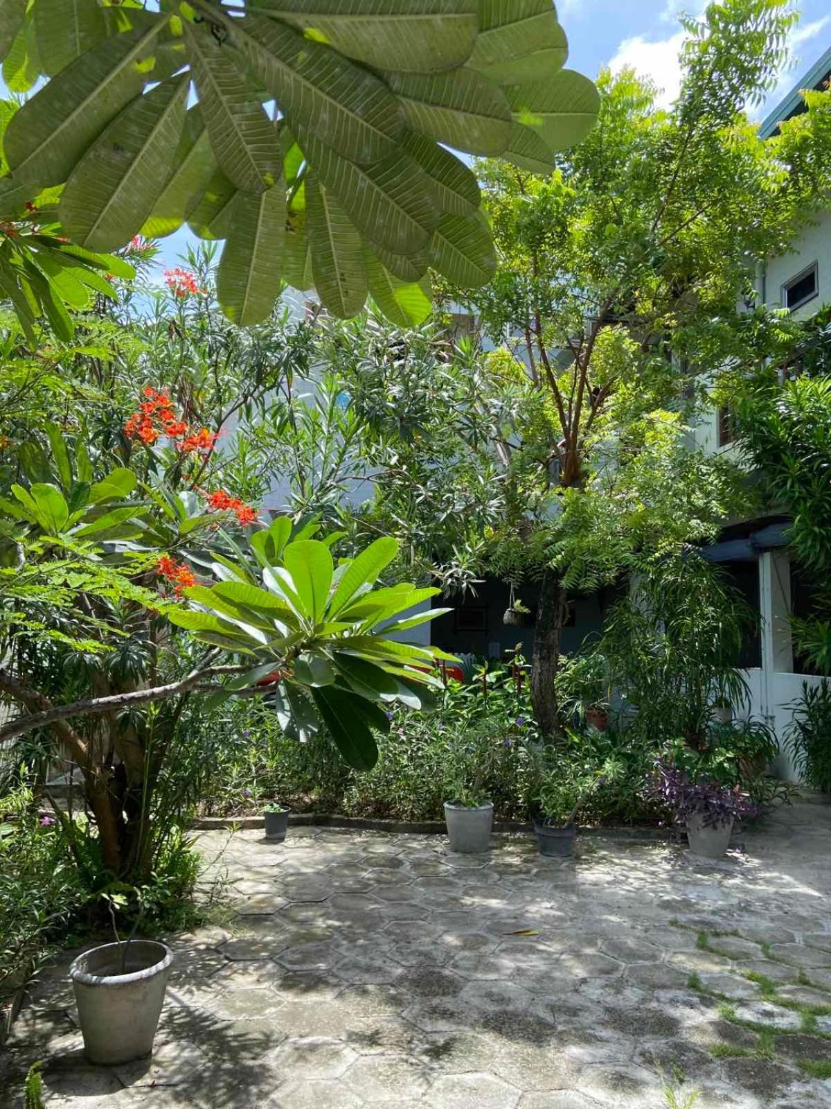 Cerulean View Residence Hanimaadhoo Island Exterior foto